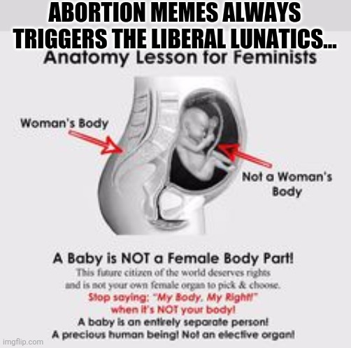 Abortion Memes Always Trigger The Liberal Lunatics | ABORTION MEMES ALWAYS TRIGGERS THE LIBERAL LUNATICS... | image tagged in abortion is murder,triggered liberal,an octavia_melody event,transgender,abomination | made w/ Imgflip meme maker