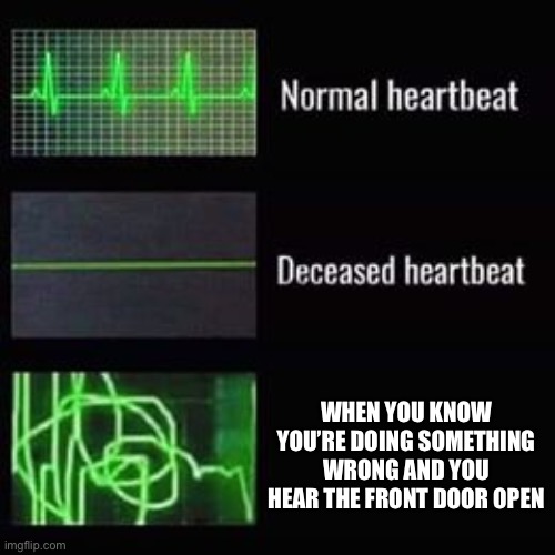 heartbeat rate | WHEN YOU KNOW YOU’RE DOING SOMETHING WRONG AND YOU HEAR THE FRONT DOOR OPEN | image tagged in heartbeat rate | made w/ Imgflip meme maker