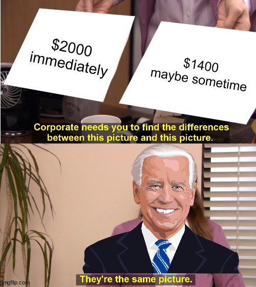 Biden bribed Georgia voters, and didn't even pay. | $2000 immediately; $1400 maybe sometime | image tagged in memes,they're the same picture | made w/ Imgflip meme maker