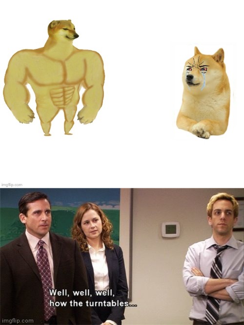 image tagged in buff cheems vs crying doge,how the turntables | made w/ Imgflip meme maker