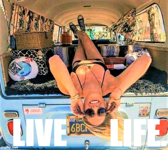 Life life. Be a happy camper. | LIVE; LIFE. | image tagged in sunglasses camper,live,life,sunglasses,woman,camping | made w/ Imgflip meme maker