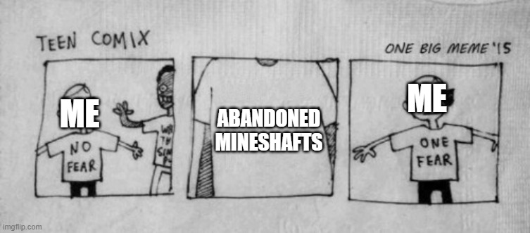 it just seems like a creepy atmosphere | ABANDONED
MINESHAFTS; ME; ME | image tagged in no fear one fear,minecraft,memes | made w/ Imgflip meme maker