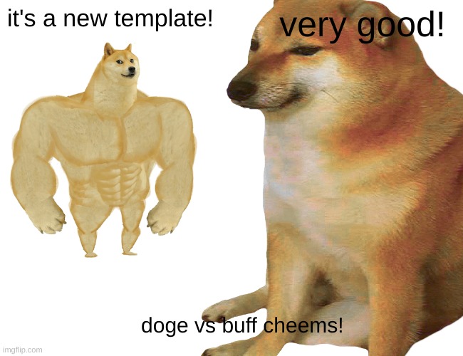 it's a new template! very good! doge vs buff cheems! | image tagged in buff doge vs cheems,reverse,template | made w/ Imgflip meme maker