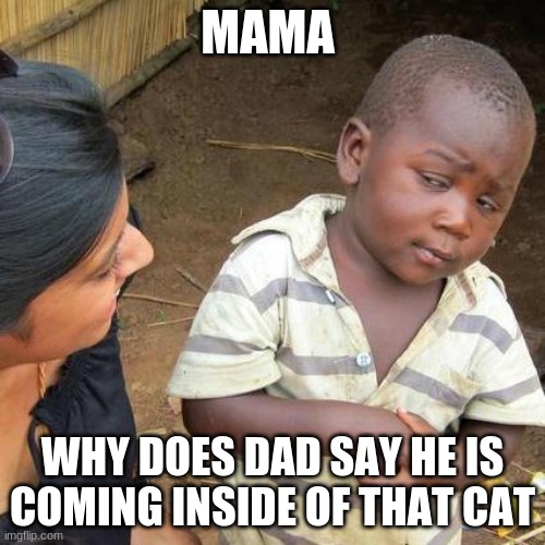 Third World Skeptical Kid Meme | MAMA; WHY DOES DAD SAY HE IS COMING INSIDE OF THAT CAT | image tagged in memes,third world skeptical kid | made w/ Imgflip meme maker
