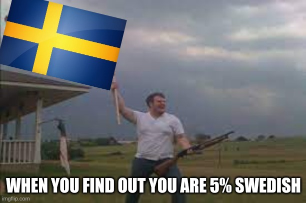 found out i am swedish lol | WHEN YOU FIND OUT YOU ARE 5% SWEDISH | image tagged in sweden,man with gun | made w/ Imgflip meme maker