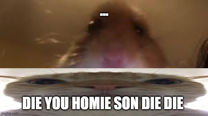 facetime hamster | ... DIE YOU HOMIE SON DIE DIE | image tagged in facetime hamster | made w/ Imgflip meme maker
