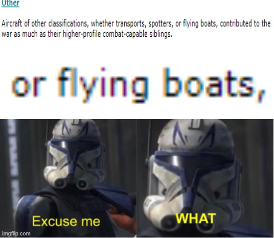 Flying Boats? | image tagged in flying,boats,captain rex,excuse me what | made w/ Imgflip meme maker