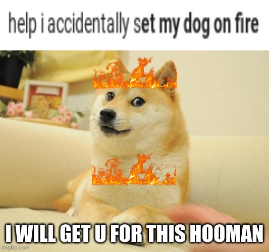 lol | I WILL GET U FOR THIS HOOMAN | image tagged in memes,doge 2 | made w/ Imgflip meme maker