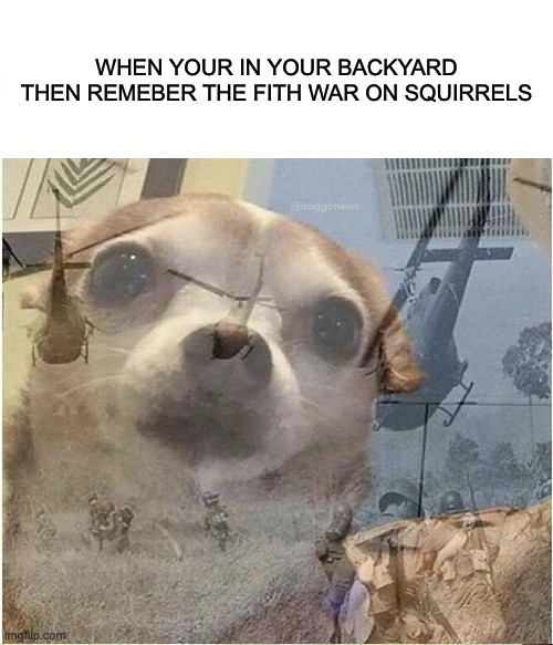 WHEN YOUR IN YOUR BACKYARD THEN REMEBER THE FITH WAR ON SQUIRRELS | image tagged in ptsd | made w/ Imgflip meme maker