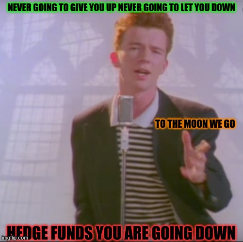 NEVER GOING TO GIVE YOU UP NEVER GOING TO LET YOU DOWN; TO THE MOON WE GO; HEDGE FUNDS YOU ARE GOING DOWN | image tagged in silver | made w/ Imgflip meme maker