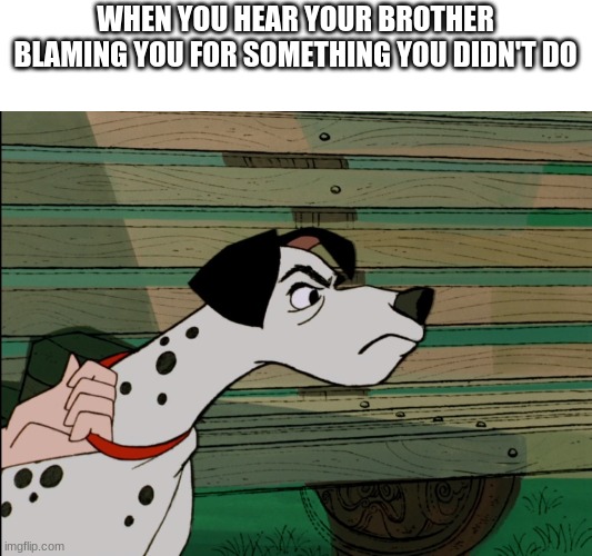 Awkward Dog Face | WHEN YOU HEAR YOUR BROTHER BLAMING YOU FOR SOMETHING YOU DIDN'T DO | image tagged in awkward dog face | made w/ Imgflip meme maker