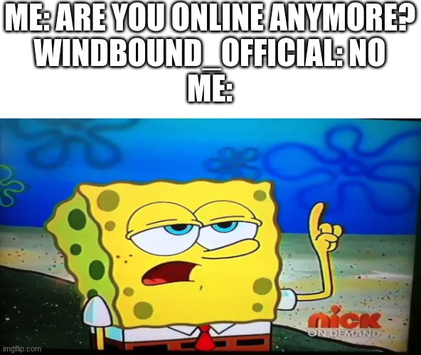 spongebob ill have you know  | ME: ARE YOU ONLINE ANYMORE?
WINDBOUND_OFFICIAL: NO
ME: | image tagged in spongebob ill have you know | made w/ Imgflip meme maker