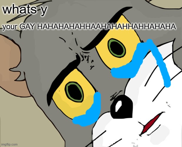 Unsettled Tom Meme | whats y; your GAY HAHAHAHAHHAAHAHAHHAHHAHAHA | image tagged in memes,unsettled tom | made w/ Imgflip meme maker