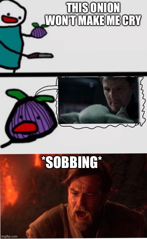 I hated this scene | THIS ONION WON’T MAKE ME CRY; *SOBBING* | image tagged in star wars | made w/ Imgflip meme maker