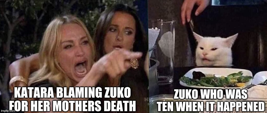 woman yelling at cat | KATARA BLAMING ZUKO FOR HER MOTHERS DEATH; ZUKO WHO WAS TEN WHEN IT HAPPENED | image tagged in woman yelling at cat | made w/ Imgflip meme maker