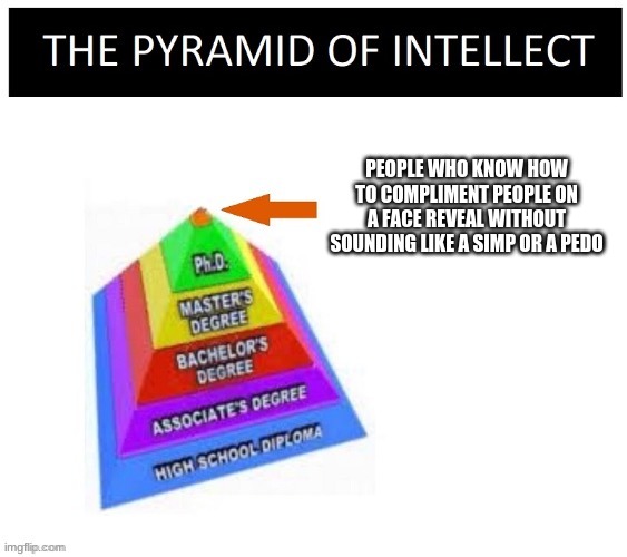 Pyramid Of Intellect | PEOPLE WHO KNOW HOW TO COMPLIMENT PEOPLE ON A FACE REVEAL WITHOUT SOUNDING LIKE A SIMP OR A PEDO | image tagged in pyramid of intellect | made w/ Imgflip meme maker