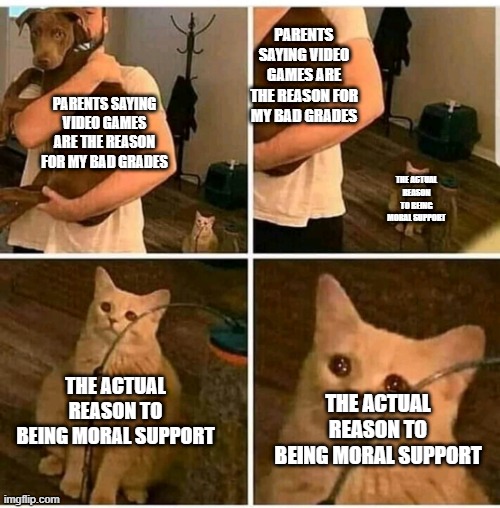 the actual reason | PARENTS SAYING VIDEO GAMES ARE THE REASON FOR MY BAD GRADES; PARENTS SAYING VIDEO GAMES ARE THE REASON FOR MY BAD GRADES; THE ACTUAL REASON TO BEING MORAL SUPPORT; THE ACTUAL REASON TO BEING MORAL SUPPORT; THE ACTUAL REASON TO BEING MORAL SUPPORT | image tagged in dogs cats,memes,so true memes | made w/ Imgflip meme maker