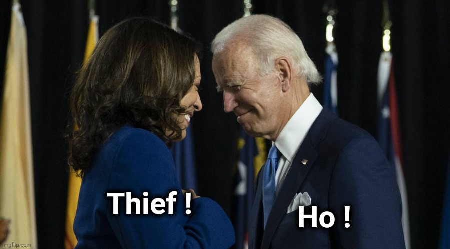 joe and kamala | Thief ! Ho ! | image tagged in joe and kamala | made w/ Imgflip meme maker