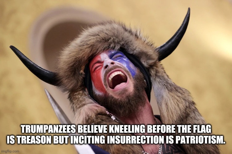 Q-shaman meets mild disappointment | TRUMPANZEES BELIEVE KNEELING BEFORE THE FLAG IS TREASON BUT INCITING INSURRECTION IS PATRIOTISM. | image tagged in q-shaman meets mild disappointment | made w/ Imgflip meme maker
