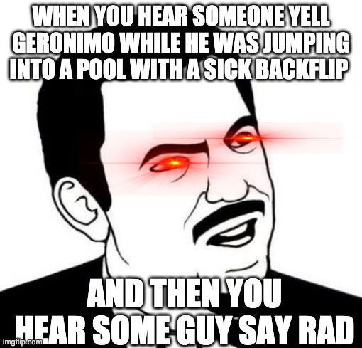 Seriously Face Meme | WHEN YOU HEAR SOMEONE YELL GERONIMO WHILE HE WAS JUMPING INTO A POOL WITH A SICK BACKFLIP; AND THEN YOU HEAR SOME GUY SAY RAD | image tagged in memes,seriously face | made w/ Imgflip meme maker
