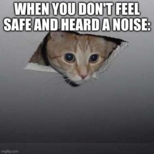 your not the only one | WHEN YOU DON'T FEEL SAFE AND HEARD A NOISE: | image tagged in memes,ceiling cat | made w/ Imgflip meme maker