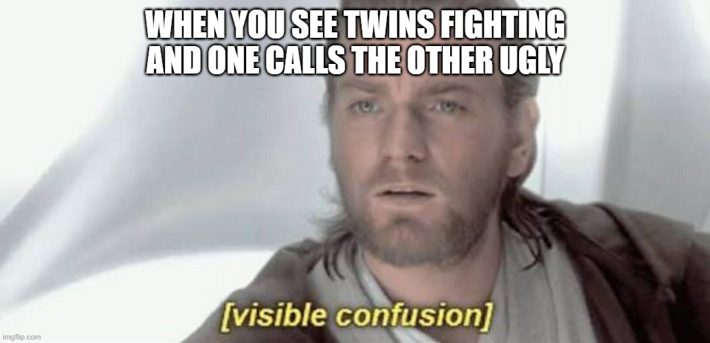 so are you calling your self ugly to??? | WHEN YOU SEE TWINS FIGHTING AND ONE CALLS THE OTHER UGLY | image tagged in visible confusion | made w/ Imgflip meme maker