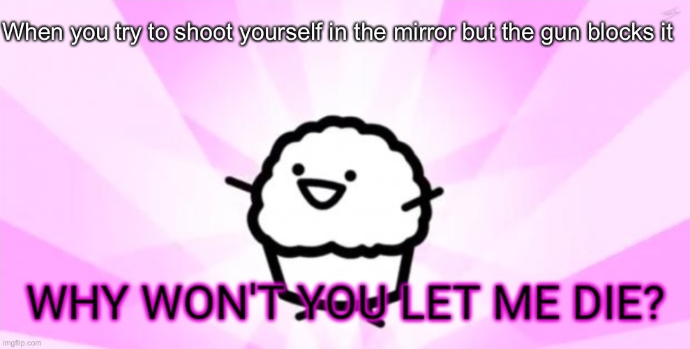 Bruh | When you try to shoot yourself in the mirror but the gun blocks it | image tagged in why won't you let me die | made w/ Imgflip meme maker