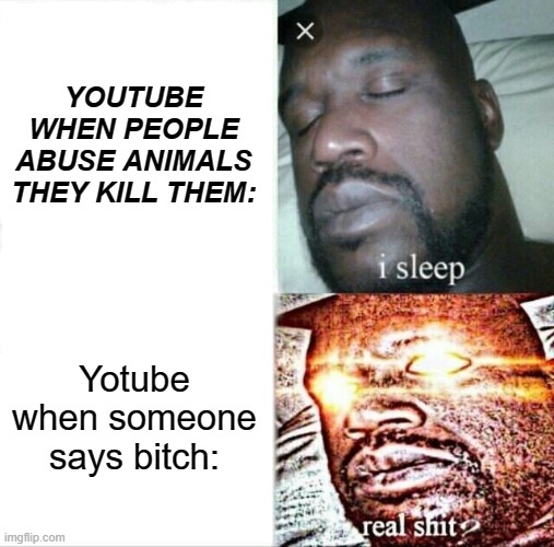 Sleeping Shaq Meme | YOUTUBE WHEN PEOPLE ABUSE ANIMALS THEY KILL THEM:; Yotube when someone says bitch: | image tagged in memes,sleeping shaq | made w/ Imgflip meme maker