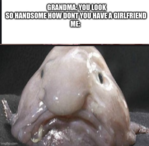 GRANDMA: YOU LOOK SO HANDSOME HOW DONT YOU HAVE A GIRLFRIEND
ME: | image tagged in blobfish | made w/ Imgflip meme maker