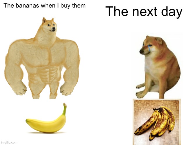 Buff Doge vs. Cheems Meme | The bananas when I buy them; The next day | image tagged in memes,buff doge vs cheems | made w/ Imgflip meme maker