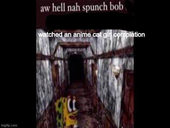 noooooooooooo spugdebof ????? | watched an anime cat girl complation | image tagged in spunchbob | made w/ Imgflip meme maker