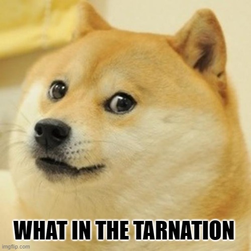 Say What? | WHAT IN THE TARNATION | image tagged in memes,doge,reaction | made w/ Imgflip meme maker