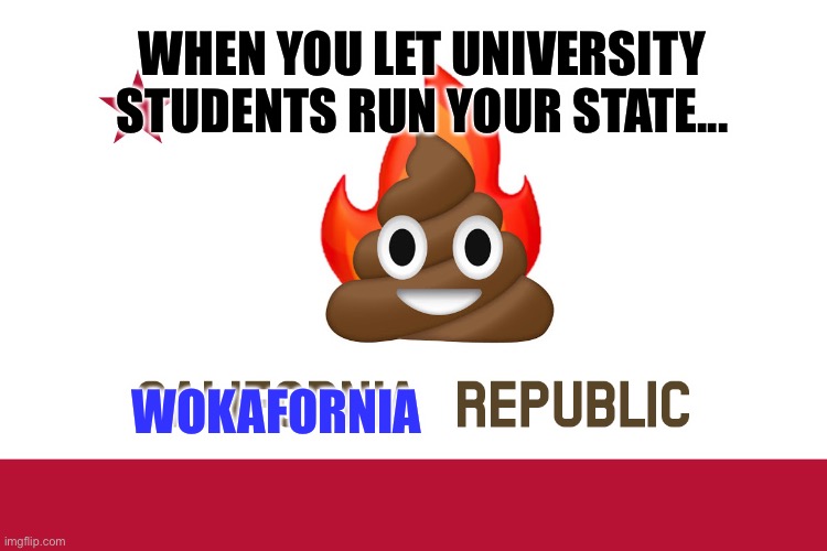 Wokafornia | WHEN YOU LET UNIVERSITY STUDENTS RUN YOUR STATE... WOKAFORNIA | image tagged in new california flag | made w/ Imgflip meme maker