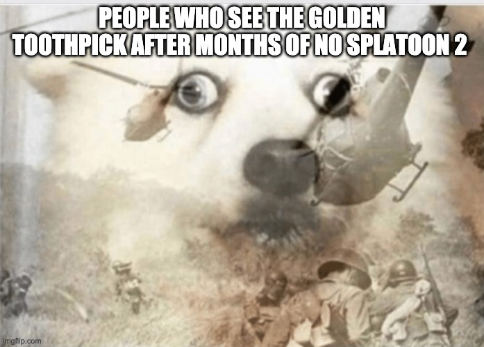 PTSD dog | PEOPLE WHO SEE THE GOLDEN TOOTHPICK AFTER MONTHS OF NO SPLATOON 2 | image tagged in ptsd dog | made w/ Imgflip meme maker