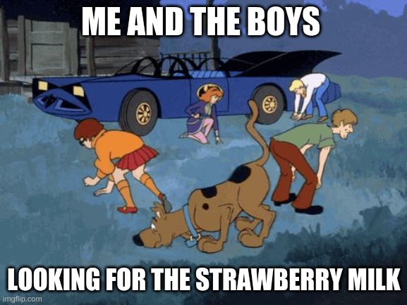 Scooby Doo Search | ME AND THE BOYS; LOOKING FOR THE STRAWBERRY MILK | image tagged in scooby doo search | made w/ Imgflip meme maker