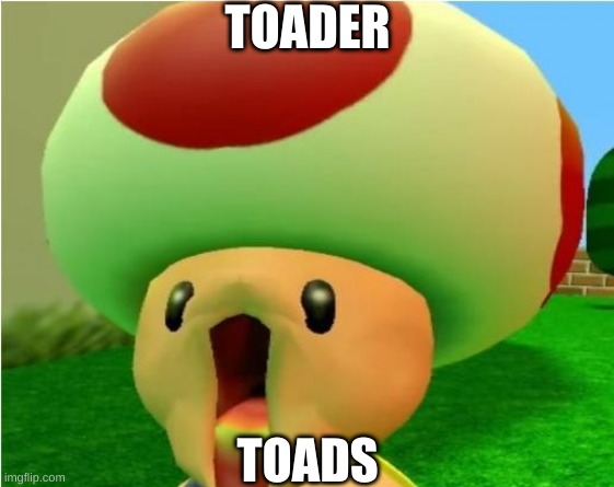 toads be toading | TOADER; TOADS | image tagged in excited toad | made w/ Imgflip meme maker