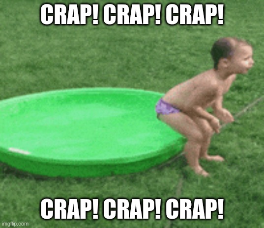 Crap!! | CRAP! CRAP! CRAP! CRAP! CRAP! CRAP! | image tagged in crap,funny memes,pool | made w/ Imgflip meme maker