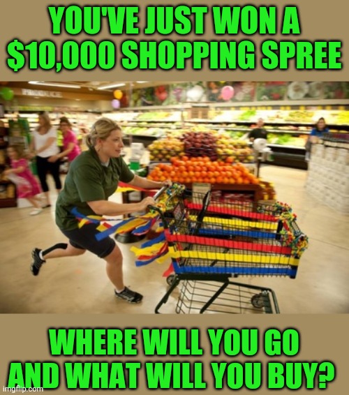 Just for fun | YOU'VE JUST WON A $10,000 SHOPPING SPREE; WHERE WILL YOU GO AND WHAT WILL YOU BUY? | image tagged in shopping cart | made w/ Imgflip meme maker
