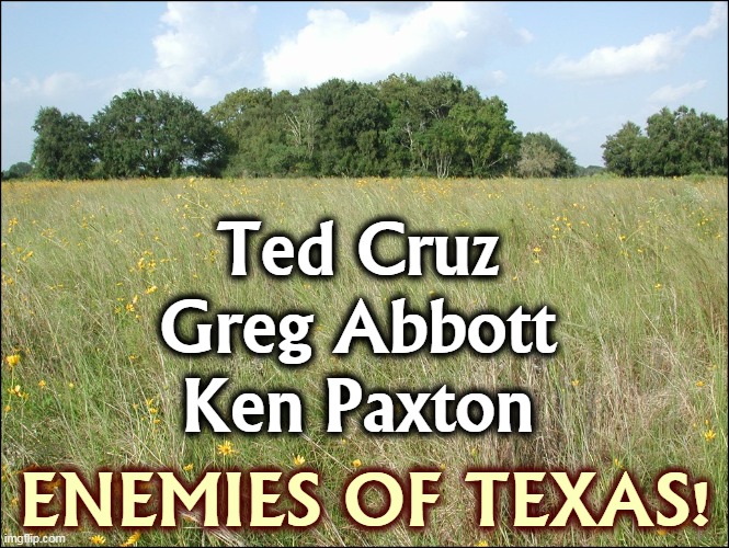 They don't care if you freeze or die. | Ted Cruz
Greg Abbott
Ken Paxton; ENEMIES OF TEXAS! | image tagged in texas,ted cruz,republicans,freeze,die | made w/ Imgflip meme maker