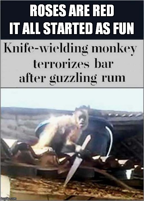 Roses Are Red For Drunk Monkey | ROSES ARE RED; IT ALL STARTED AS FUN | image tagged in roses are red,monkey,violence | made w/ Imgflip meme maker