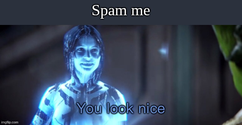 You look nice | Spam me | image tagged in you look nice | made w/ Imgflip meme maker