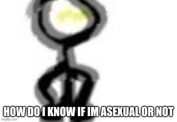 thing | HOW DO I KNOW IF IM ASEXUAL OR NOT | image tagged in thing | made w/ Imgflip meme maker