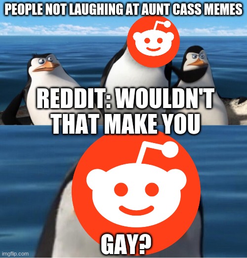 Only redditors will get this. | PEOPLE NOT LAUGHING AT AUNT CASS MEMES; REDDIT: WOULDN'T THAT MAKE YOU; GAY? | image tagged in aunt cass,reddit,wouldn't that make you | made w/ Imgflip meme maker