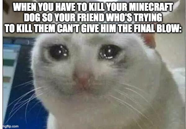 crying cat | WHEN YOU HAVE TO KILL YOUR MINECRAFT DOG SO YOUR FRIEND WHO'S TRYING TO KILL THEM CAN'T GIVE HIM THE FINAL BLOW: | image tagged in crying cat | made w/ Imgflip meme maker