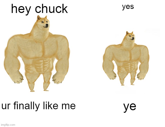 buff doge and CHUCK | hey chuck; yes; ur finally like me; ye | image tagged in memes,buff doge vs cheems | made w/ Imgflip meme maker