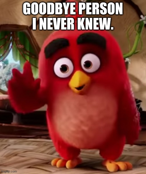 Hello birds I don't know nor intend on knowing. | GOODBYE PERSON I NEVER KNEW. | image tagged in hello birds i don't know nor intend on knowing | made w/ Imgflip meme maker