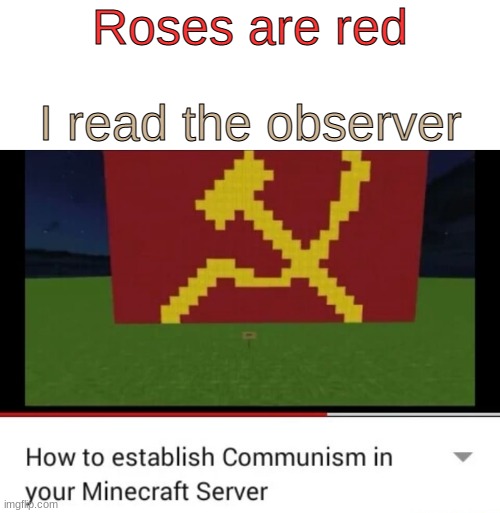 actually, it's OUR minecraft server | Roses are red; I read the observer | image tagged in blank white template,funny,memes,funny memes,communism,minecraft | made w/ Imgflip meme maker