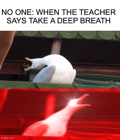 NO ONE: WHEN THE TEACHER SAYS TAKE A DEEP BREATH | image tagged in fun | made w/ Imgflip meme maker