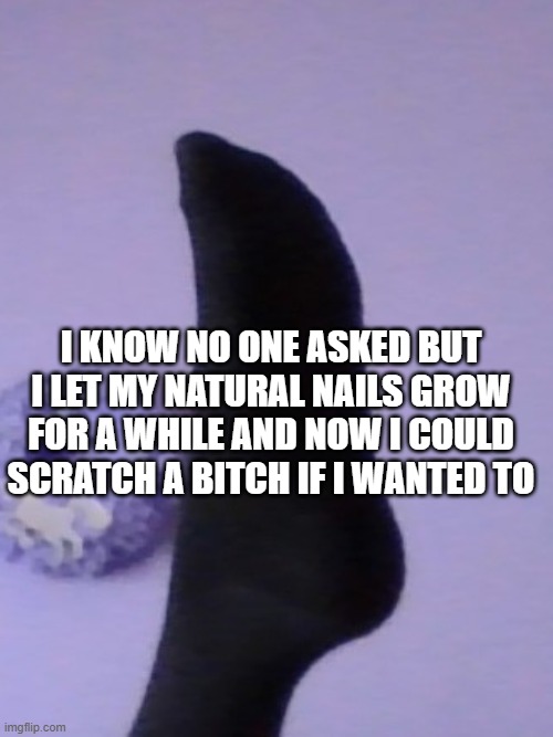 I KNOW NO ONE ASKED BUT I LET MY NATURAL NAILS GROW FOR A WHILE AND NOW I COULD SCRATCH A BITCH IF I WANTED TO | image tagged in perhaps rose's foot | made w/ Imgflip meme maker