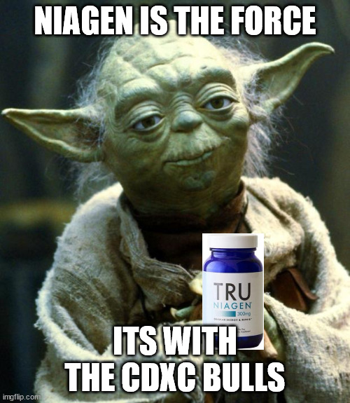 THE FORCE IS WITH US | NIAGEN IS THE FORCE; ITS WITH THE CDXC BULLS | image tagged in memes,star wars yoda | made w/ Imgflip meme maker